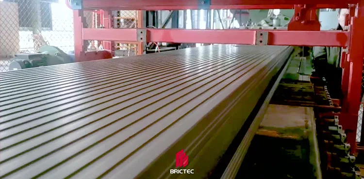 Μηχανήματα Παραγωγής Τούβλων Μεσαίας Κλίμακας Διπλού Σταδίου Αντλίας κενού για Πλινθόκτιστα και Κεραμίδια 3